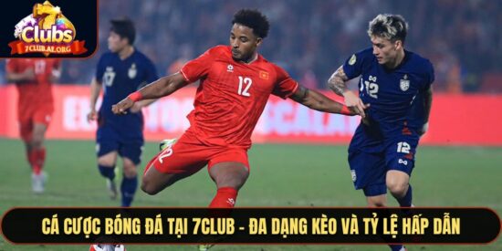 Cá Cược Bóng Đá