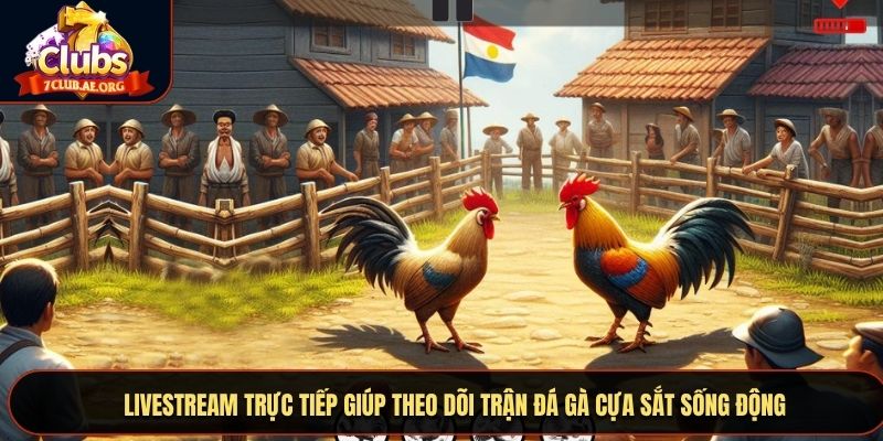 Livestream trực tiếp giúp theo dõi trận đá gà cựa sắt sống động