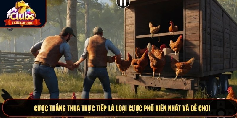 Cược thắng thua trực tiếp là loại cược phổ biến nhất và dễ chơi